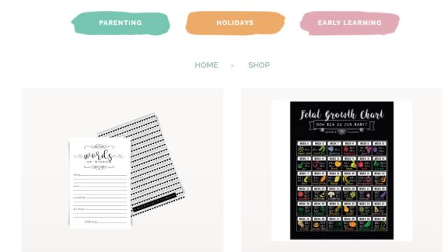 Main Shop Page where products are organized into distinct classes.